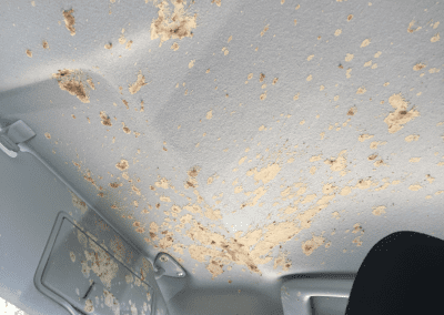 Car - Car wash
