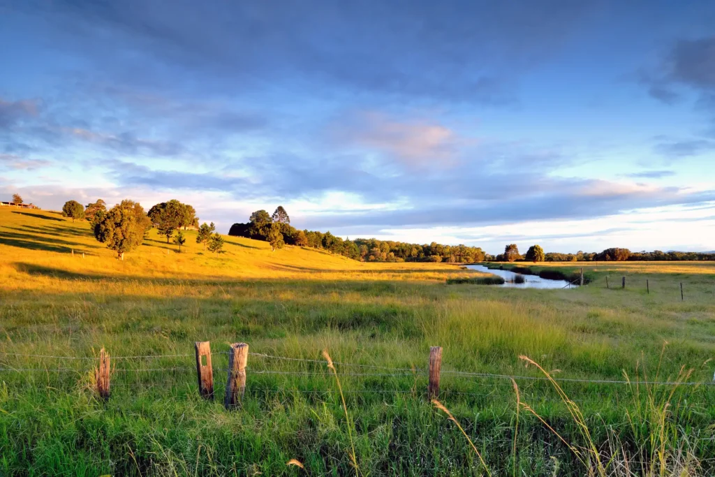Grass field of Capalaba at golden sunset hour under colorful cloud sky. on the roadside to Capalaba