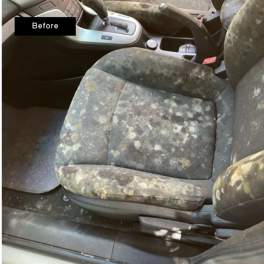 Cloth car seat covered in heavy mould before treatmen