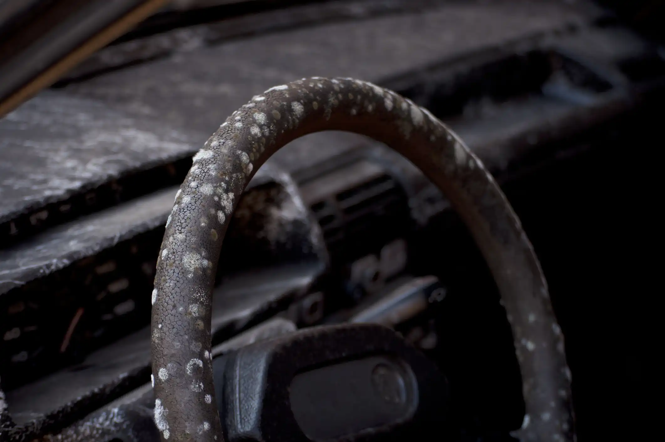 Mould growing on a car steering wheel