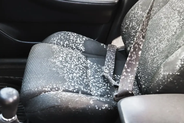 Car seat and seatbelt covered in white mould spots